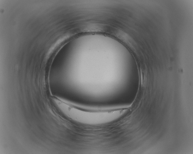 X0000077340531200611101551