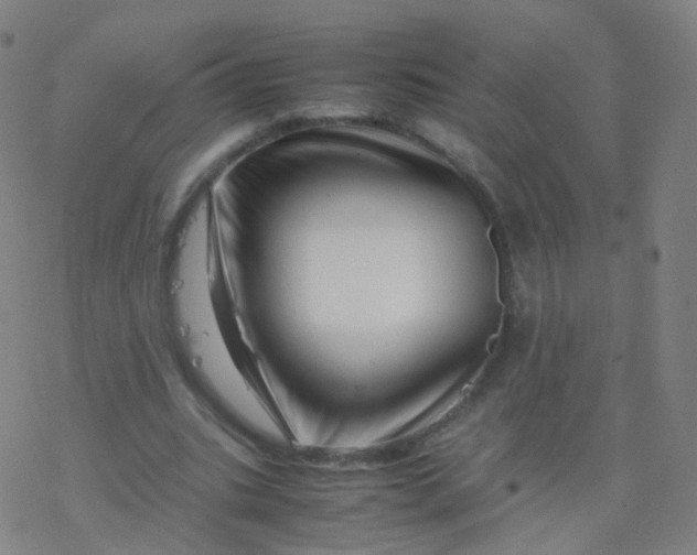 X0000077340535200611101551