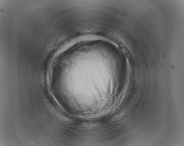 X0000077340545200611101551