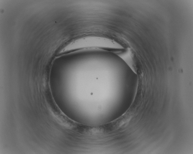 X0000077340546200611101551