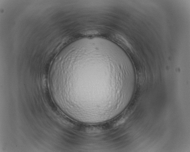 X0000077340549200611101551