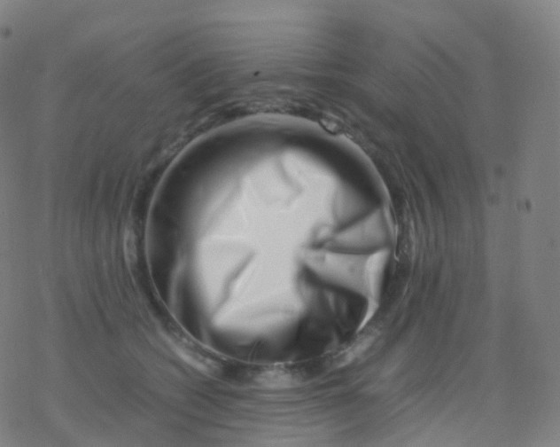 X0000077340562200611101551