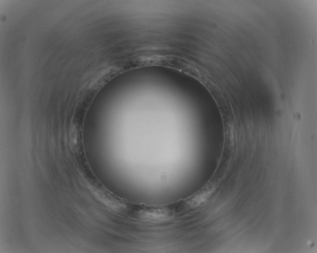 X0000077340567200611101552