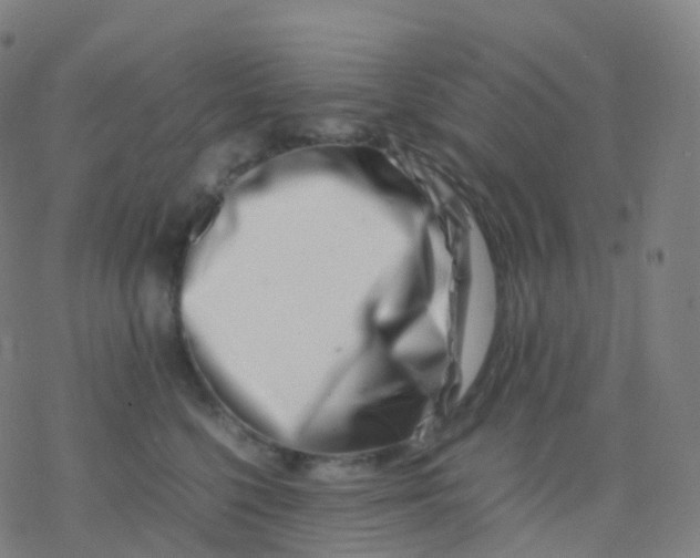 X0000077340568200611101552