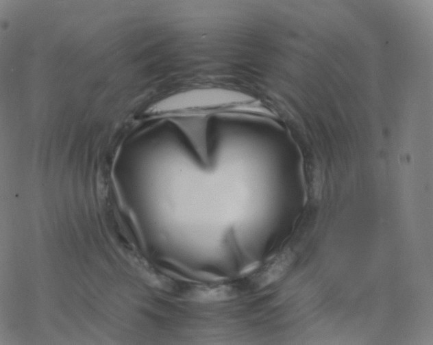 X0000077340569200611101552