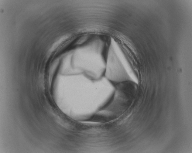 X0000077340578200611101551