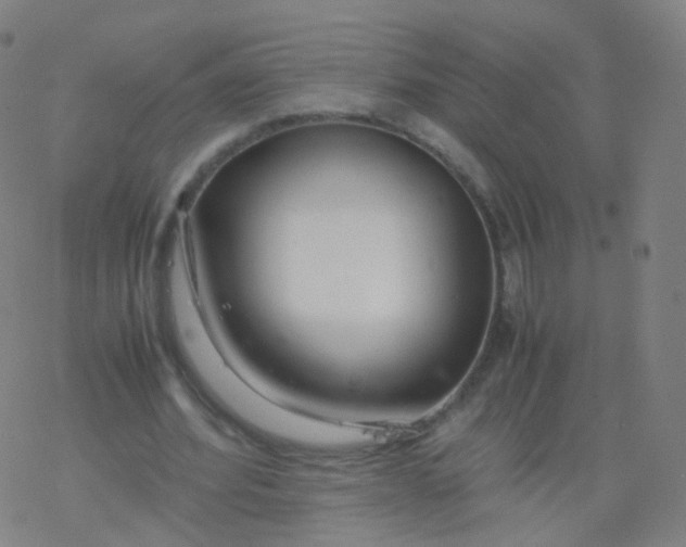 X0000077340580200611101551