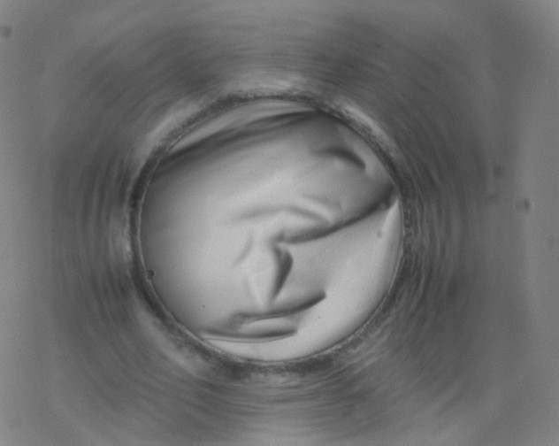 X0000077340582200611101551