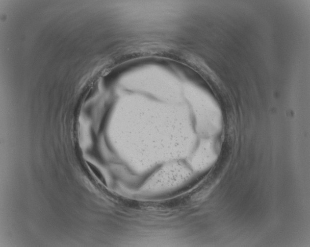 X0000077340585200611101551