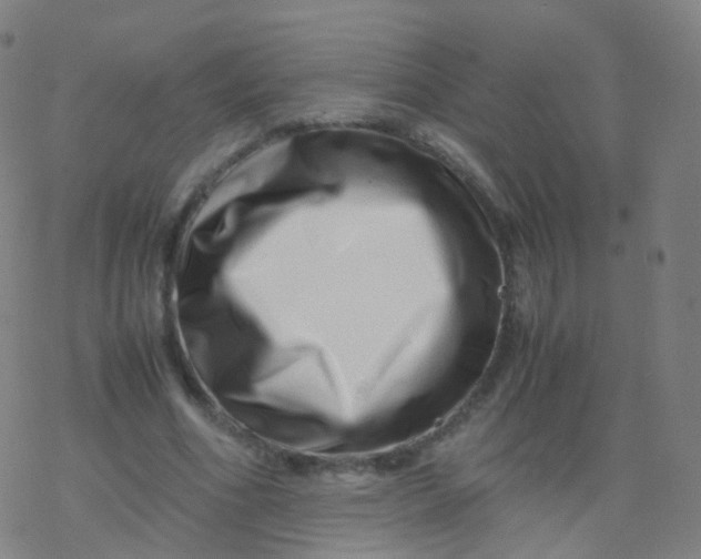X0000077340586200611101551