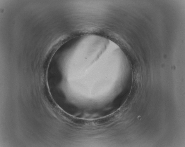 X0000077340591200611101551