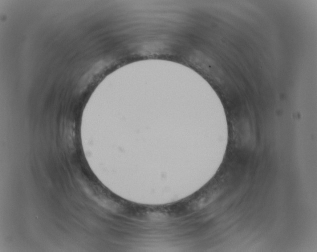 X0000077340592200611101551