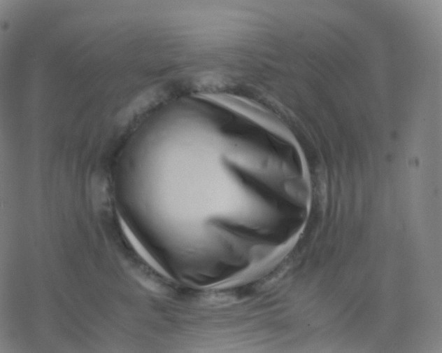 X0000077340619200611101550