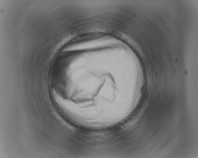 X0000077340625200611101549