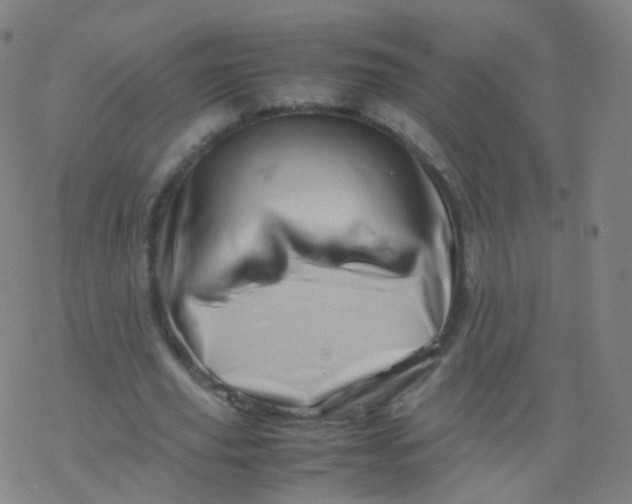 X0000077340629200611101549