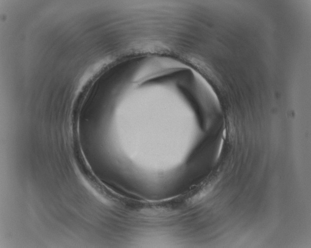 X0000077340630200611101549