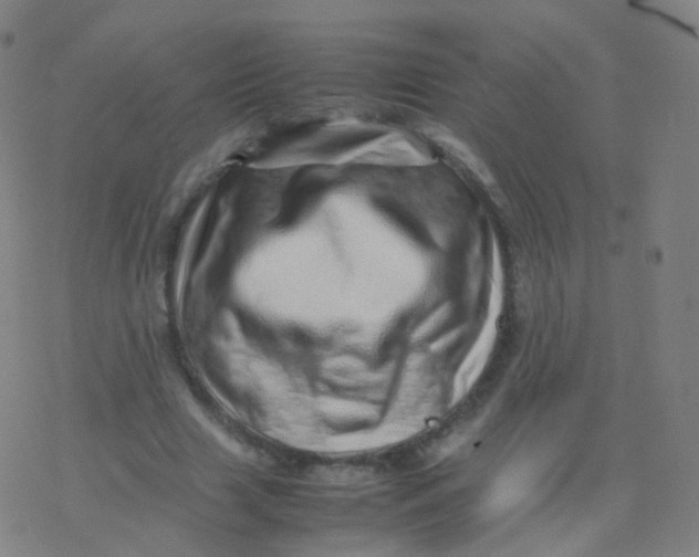 X0000077340633200611101550