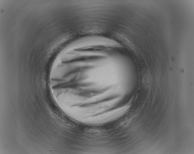 X0000077340635200611101550