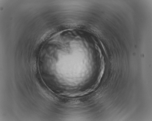 X0000077340642200611101550