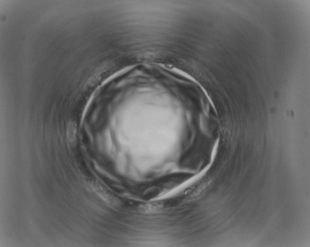 X0000077340660200611101550