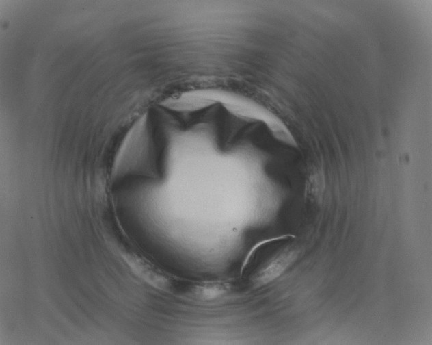 X0000077340662200611101550