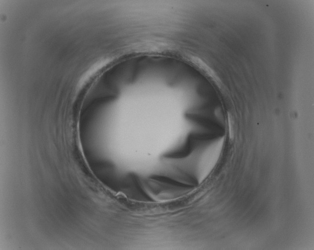X0000077340675200611101549