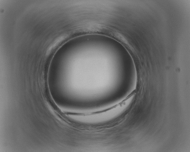 X0000077340677200611101549