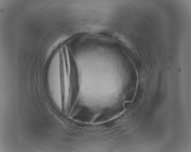 X0000077340679200611101549