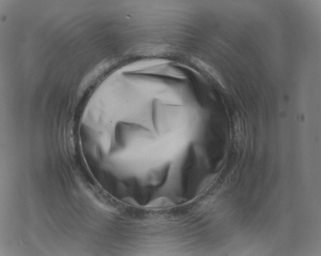 X0000077340682200611101549