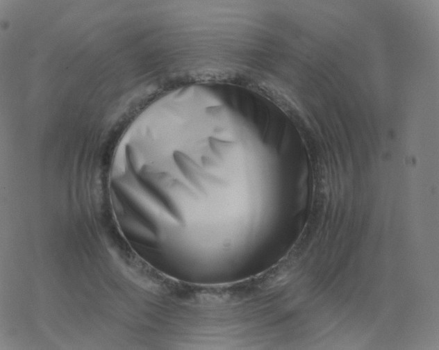 X0000077340690200611101549