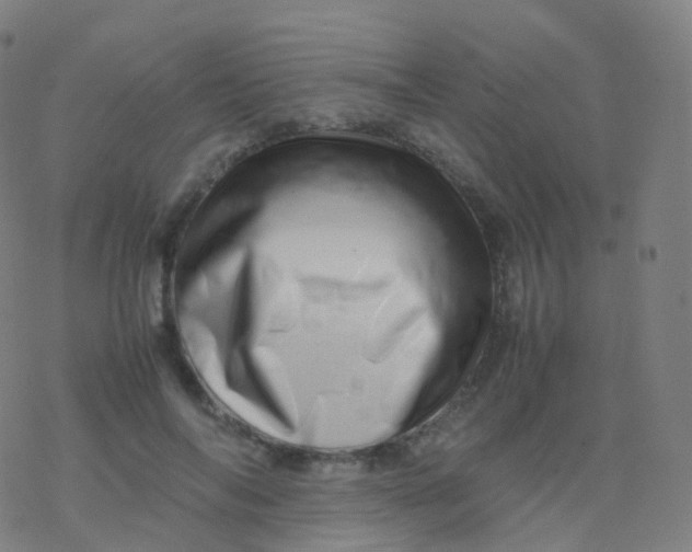 X0000077340694200611101549