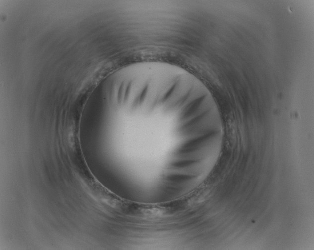 X0000077340698200611101549