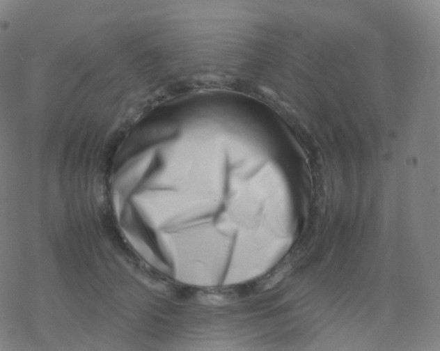 X0000077340706200611101549