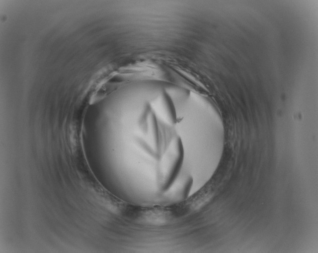 X0000077340708200611101549