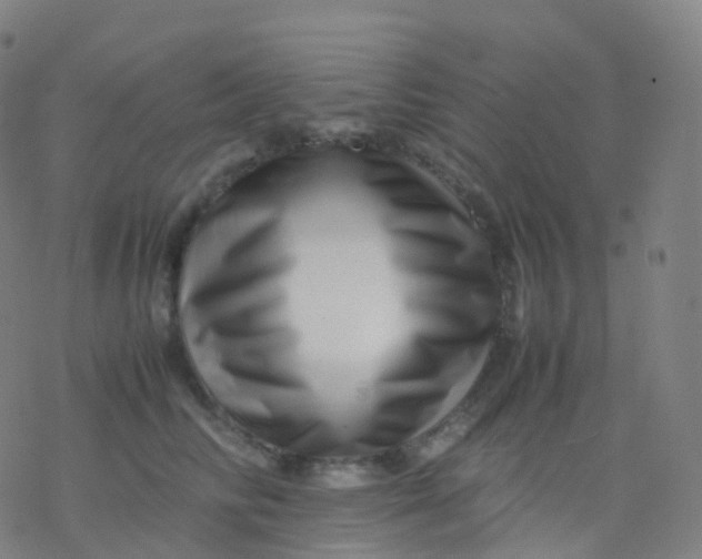X0000077340710200611101549