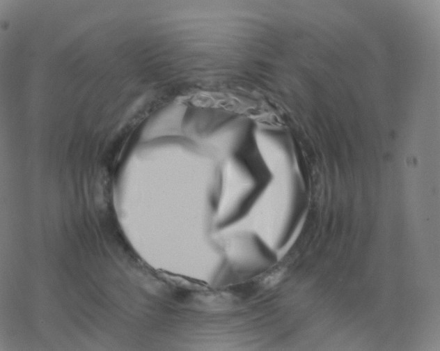X0000077340712200611101549