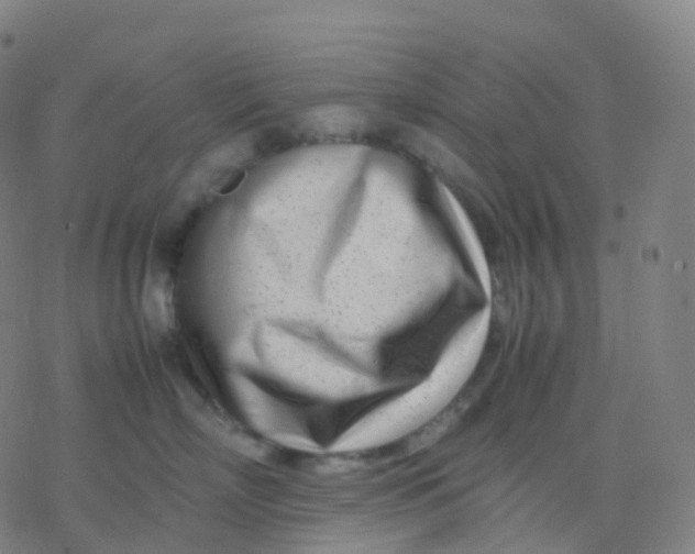 X0000077340718200611101549