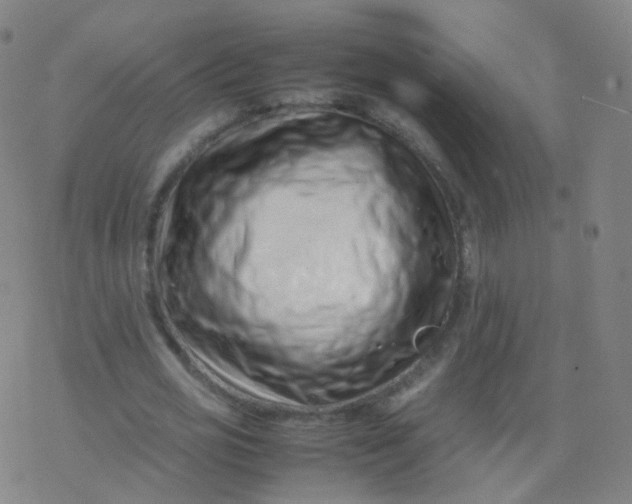 X0000077340725200611101548