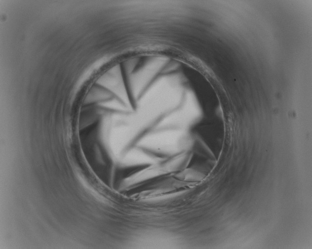 X0000077340726200611101548