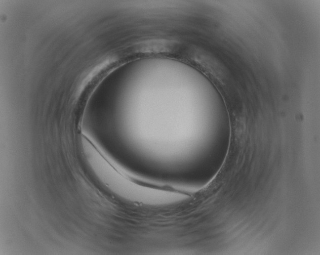 X0000077340727200611101548
