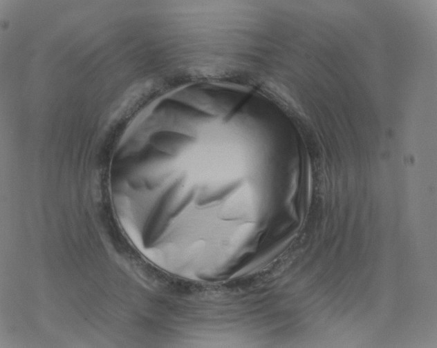 X0000077340738200611101548