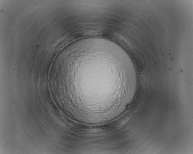 X0000077340741200611101548