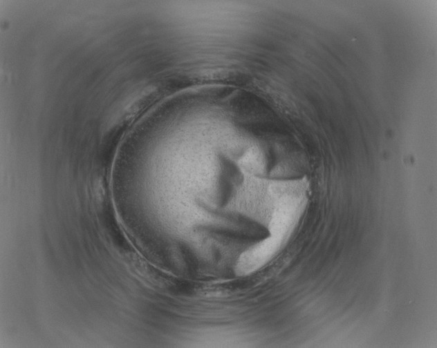 X0000077340746200611101548