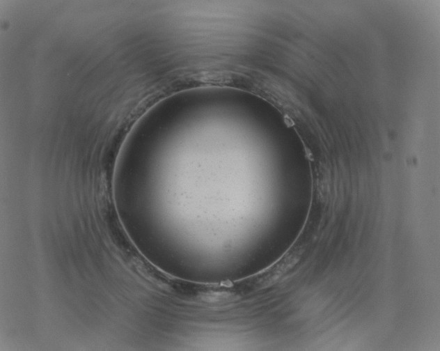 X0000077340748200611101548