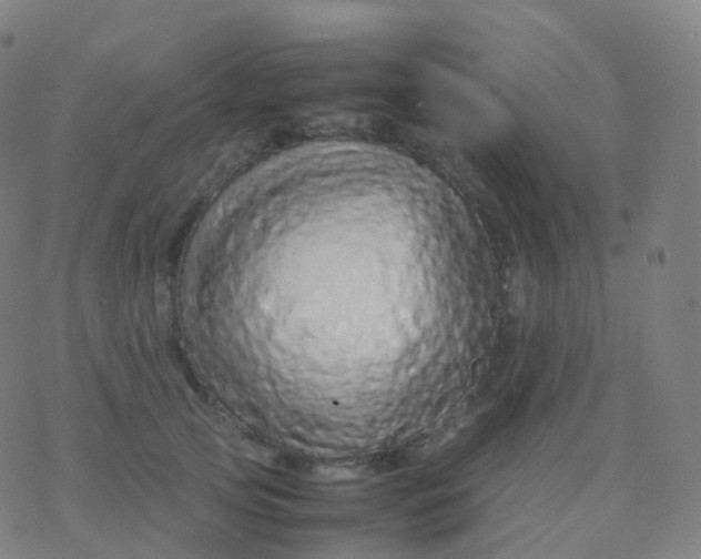 X0000077340753200611101548