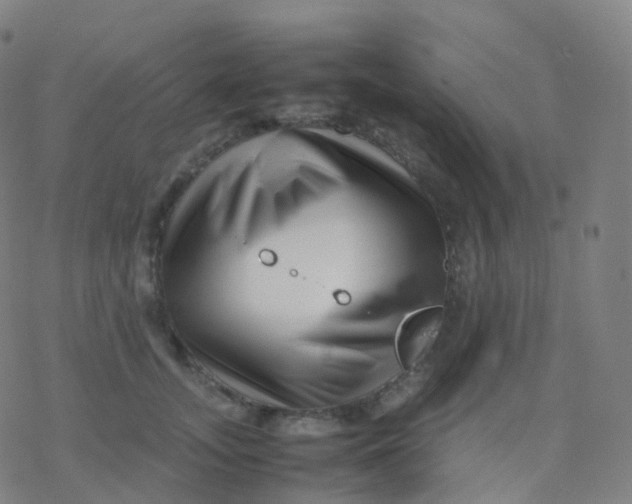 X0000077340755200611101548