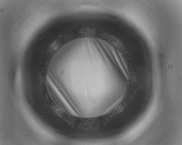 X0000077340765200611101549