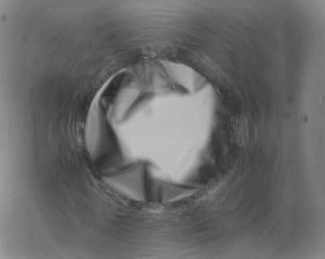 X0000077340770200611101548