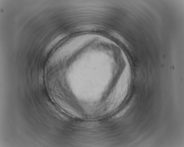 X0000077340778200611101548