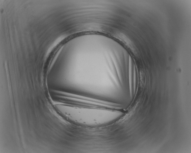 X0000077340780200611101548